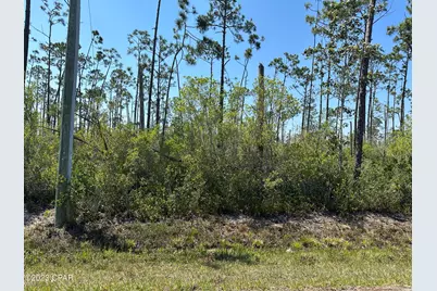 11831 Hauser Road, Panama City, FL 32404 - Photo 1