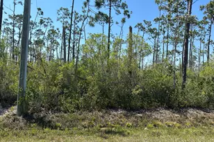 11831 Hauser Rd, Panama City, FL 32404 - Photo 1