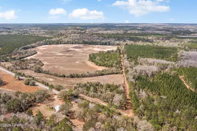 Lot 1 Bradley Road, Westville, FL 32464 - Photo 7