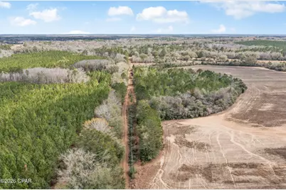 Lot 1 Bradley Road, Westville, FL 32464 - Photo 9