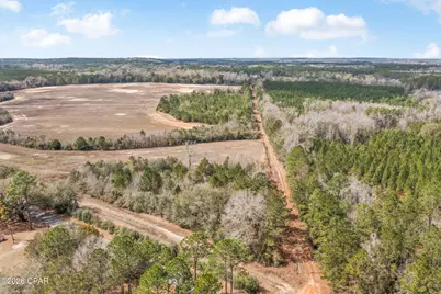 Lot 1 Bradley Road, Westville, FL 32464 - Photo 11