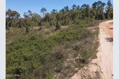 00 Powder Circle, Alford, FL 32420 - Photo 9