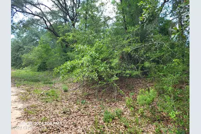 00 Persimmons Lane, Marianna, FL 32448 - Photo 3