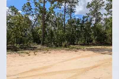 0 Fredrica Drive, Alford, FL 32420 - Photo 3