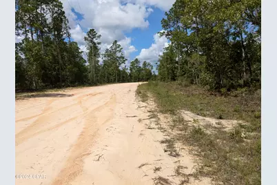 0 Fredrica Drive, Alford, FL 32420 - Photo 5