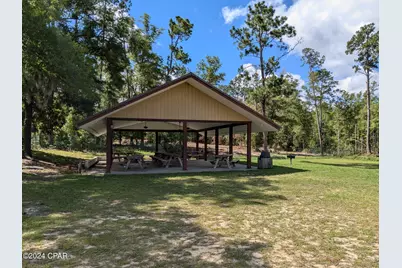 0 Fredrica Drive, Alford, FL 32420 - Photo 9