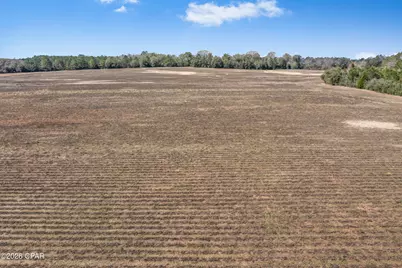 Lot 2 Bradley Road, Westville, FL 32464 - Photo 5