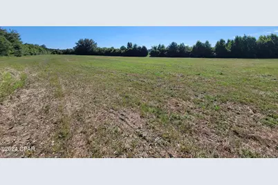 Lot 2 Bradley Road, Westville, FL 32464 - Photo 7