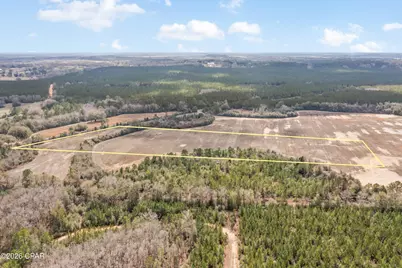 Lot 2 Bradley Road, Westville, FL 32464 - Photo 3