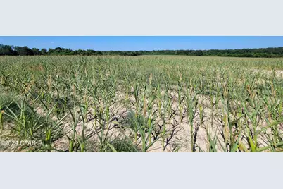 Lot 3 Bradley Road, Westville, FL 32464 - Photo 7