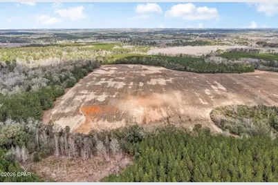 Lot 4 Bradley Road, Westville, FL 32464 - Photo 1