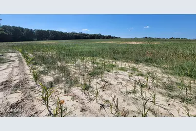 Lot 4 Bradley Road, Westville, FL 32464 - Photo 7