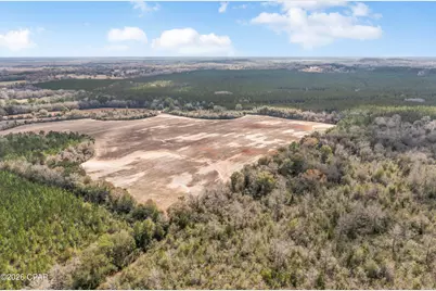 Lot 4 Bradley Road, Westville, FL 32464 - Photo 3