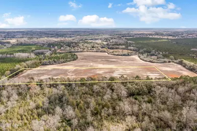 Lot 4 Bradley Road, Westville, FL 32464 - Photo 11