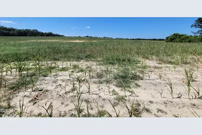 Lot 4 Bradley Road, Westville, FL 32464 - Photo 9