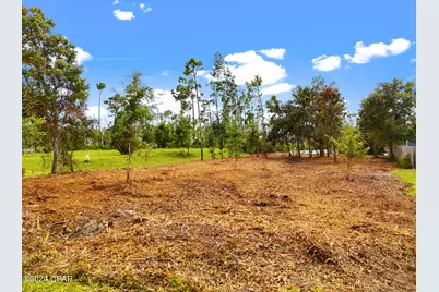 807 Tidewater Lane, Panama City, FL 32404 - Photo 5