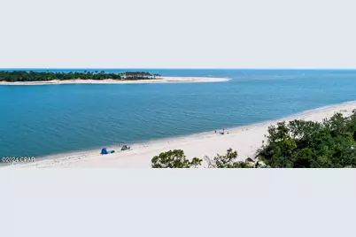 116 Reservation Way, Port Saint Joe, FL 32456 - Photo 13