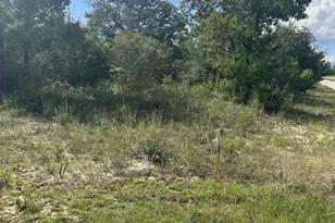 Unit6Lot19 Deltona Blvd, Chipley, FL 32428 - Photo 1