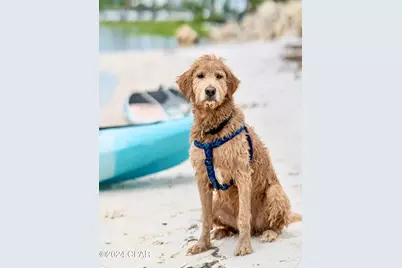 164 Canvas Lane #72, Port Saint Joe, FL 32456 - Photo 59