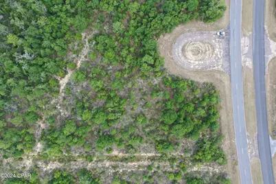 Lot 3 Brewton Drive, Chipley, FL 32428 - Photo 5