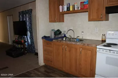 15953 Chipola Street, Altha, FL 32421 - Photo 37