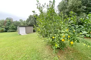 2936 Russ St, Marianna, FL 32446 - Photo 49