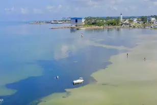 251 Mosaic Dr, Port Saint Joe, FL 32456 - Photo 41