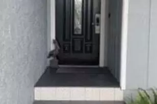 4129 Cobia St, Panama City Beach, FL 32408 - Photo 15