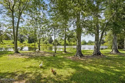 1528 Hilltop Drive, Bonifay, FL 32425 - Photo 73
