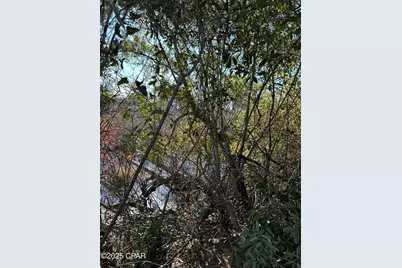 31 Indian Bluff Drive, Youngstown, FL 32466 - Photo 11