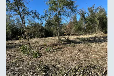 31 Indian Bluff Drive, Youngstown, FL 32466 - Photo 9