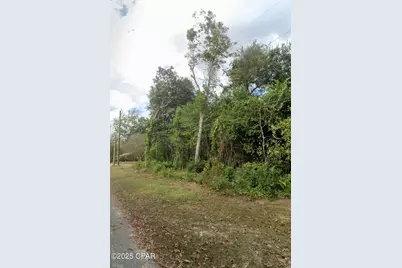 1/2 Lot 75 Pecan Street, Chipley, FL 32428 - Photo 3