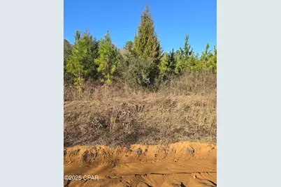 Tbd Lot 3 Peanut Road, Cottondale, FL 32431 - Photo 9