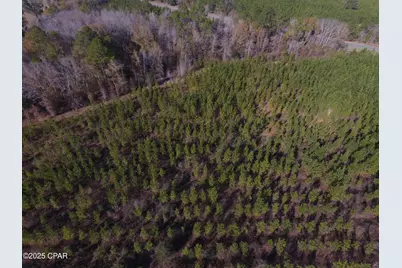 Tbd Lot 3 Peanut Road, Cottondale, FL 32431 - Photo 13