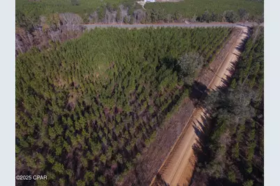 Tbd Lot 3 Peanut Road, Cottondale, FL 32431 - Photo 3