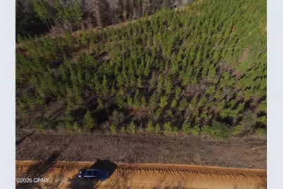 Tbd Lot 4 Peanut Road, Cottondale, FL 32431 - Photo 9