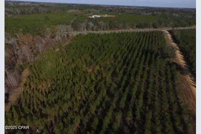 Tbd Lot 4 Peanut Road, Cottondale, FL 32431 - Photo 17