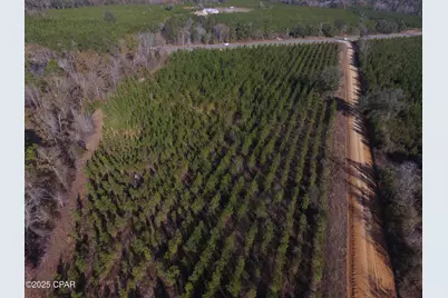 Tbd Lot 4 Peanut Road, Cottondale, FL 32431 - Photo 19