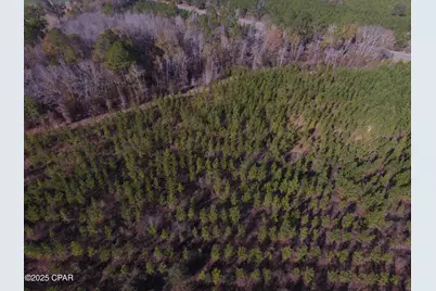 Tbd Lot 4 Peanut Road, Cottondale, FL 32431 - Photo 13