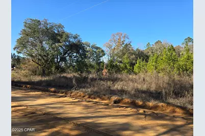 Tbd Lot 4 Peanut Road, Cottondale, FL 32431 - Photo 5