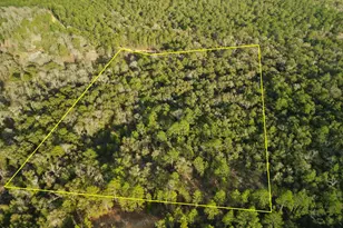 000 Creek Run Rd, Vernon, FL 32462 - Photo 1