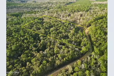 000 Creek Run Road, Vernon, FL 32462 - Photo 3