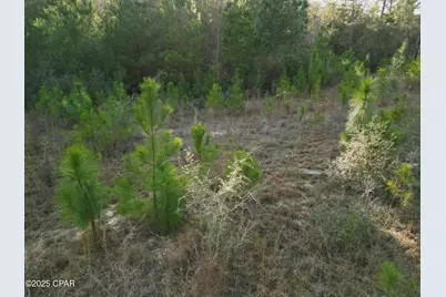000 Creek Run Road, Vernon, FL 32462 - Photo 5