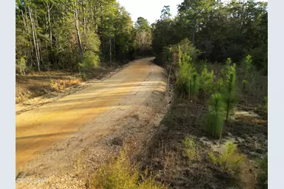 000 Creek Run Road, Vernon, FL 32462 - Photo 7