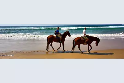 373 Rhonda Del Sol Circle, Cape San Blas, FL 32456 - Photo 61