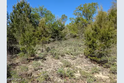 0 Joy, Marianna, FL 32448 - Photo 3