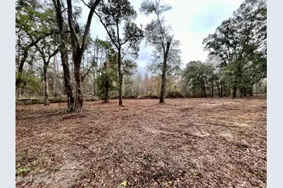 3199 Pate Pond Road, Vernon, FL 32462 - Photo 27