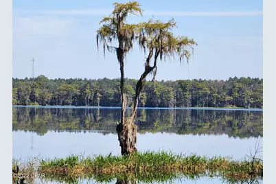 3199 Pate Pond Road, Vernon, FL 32462 - Photo 3