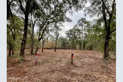 3199 Pate Pond Road, Vernon, FL 32462 - Photo 29