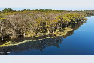 3199 Pate Pond Road, Vernon, FL 32462 - Photo 1